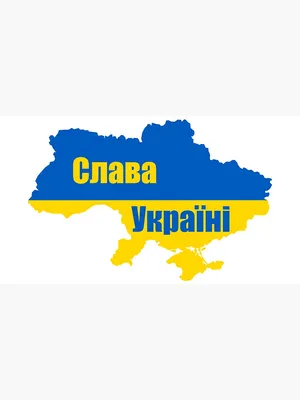 Для расследования дела Slava Ukraini Украина и Эстония создали совместную  следственную группу | Эстония | ERR