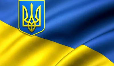 Патриотическая Футболка Слава Украине, черная футболка с надписью *Slava  Ukraini*, футболка с прапором (XL)