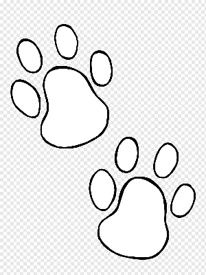 Сравнение следов собаки волка Иллюстрация вектора - иллюстрации  насчитывающей ангстрома, лапка: 136987897