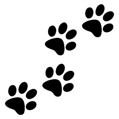 Dog Paw Cat Animal след, Собака, животные, текст, рука png | Klipartz
