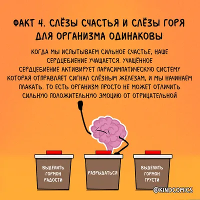 Роман о любви Сьюзен Льюис "Слезы счастья": 80 грн. - Книги / журналы  Ивано-Франковск на Olx