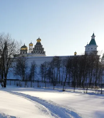 BTS. Кровь, пот и слёзы. История пуленепробиваемых парней» Тамар Херман -  купить книгу «BTS. Кровь, пот и слёзы. История пуленепробиваемых парней» в  Минске — Издательство Бомбора на 