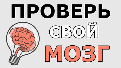 Сломай мозг о загадки. Ответы на самые сложные головомки, которые решили  единицы | Прокачай мозги | Дзен