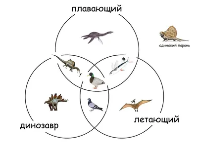 Сломай мозг | Пикабу