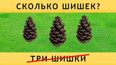 Тест на ЛОГИКУ "Сломай мозг". 12 вопросов, которые "взорвут" Ваш мозг) |  🧠Тесты, Головоломки, Викторины | Дзен