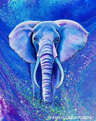 Локсодон слон | Colorful animal paintings, Elephant wallpaper, Elephant art