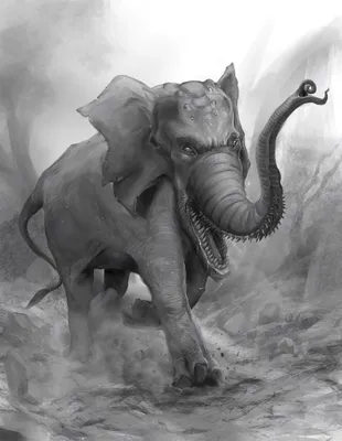 Слон арт картинки