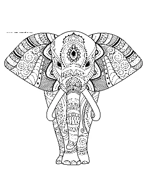 Большой индийский слон раскраска — Все для детского сада