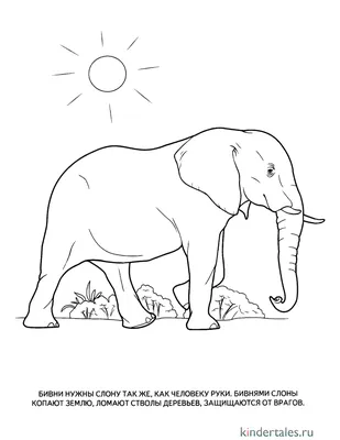 Раскраски Слон для детей (38 шт.) - скачать или распечатать бесплатно #2134