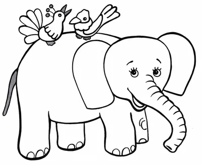 Раскраска для детей 5-7 лет. Слон. Страница 15164