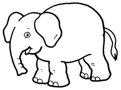 Mandala coloring pages, Animal coloring pages, Geometric coloring pages