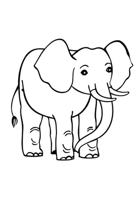 Сафари, Слоны иллюстрация для детей |  - Модульные картины на  заказ