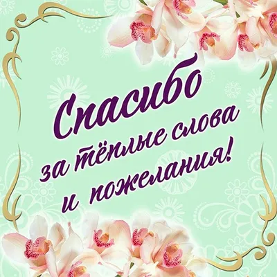 Слова благодарности спасибо за поздравления картинки