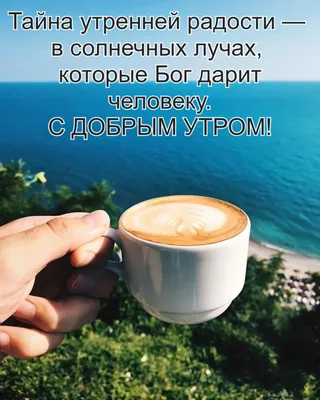 Доброе утро друзья ☕ | Instagram