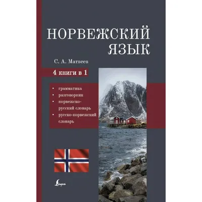 Книга "Китайский язык. 4-в-1: грамматика, разговорник, китайско-русский  словарь, русско-китайский словарь" - купить в Германии | 