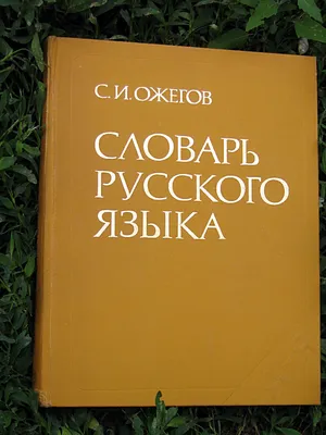 Картинный словарь русского языка для детей