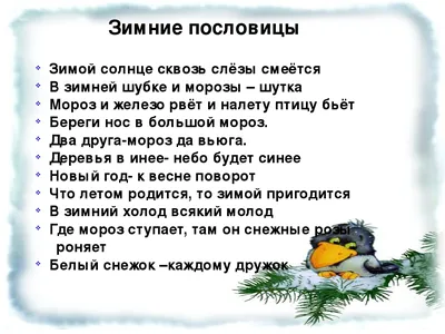 Презентация по русскому языку на тему "Зимняя страничка"3 класс