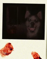 Smile Dog (фильм, 2012)