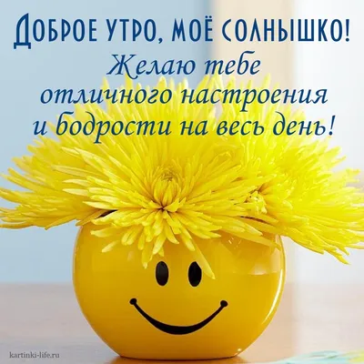 ДОБРОЕ 🌻🦋🍃🌞🌿🦋🌻 УТРО! ПОЖЕЛАНИЯ! | Доброе утро, Счастливые картинки,  Смешные смайлики