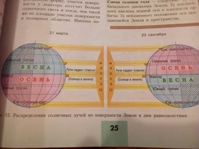 Смена времён года (базовый уровень) - 3D-сцены - Цифровое образование и  обучение Мozaik