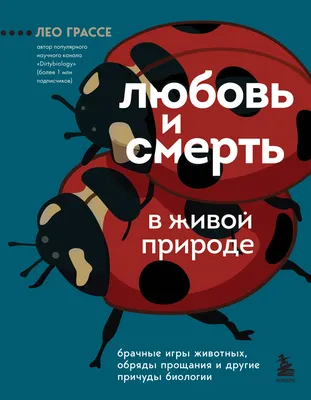 Как русский режиссер попал в сериал Netflix «Любовь, смерть и роботы».  Люди. Нация