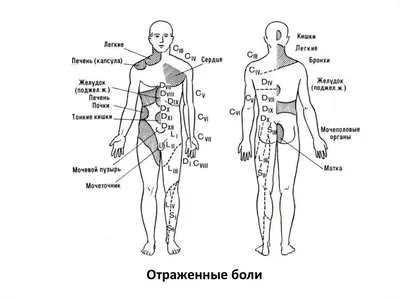 Смертельные точки в боевых искусствах | Доктор Шилов: Медицина. Спорт.  Путешествия. | Дзен