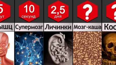 Как умирает человек от старости, от болезни и от вражеской пули – что он  ощущает, стадии смерти человека | Курьер.Среда | Дзен