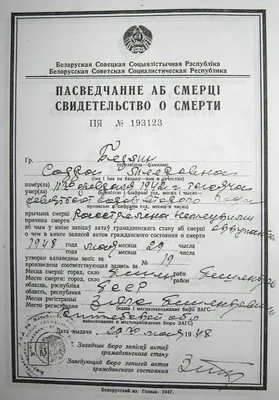 После случайной смерти десятилетнего ребенка: Судебное разбирательство в  областном суде