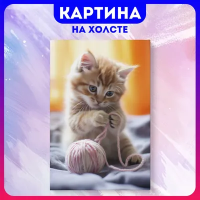 котэ (прикольные картинки с кошками) / смешные картинки и другие приколы:  комиксы, гиф анимация, видео, лучший интеллектуальный юмор.