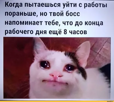 Кто сказал, что на работе сложно и не весело? Смешные картинки про работу |  Одинокий мужчина из Москвы | Дзен