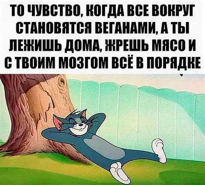 Смешные приколы до слез