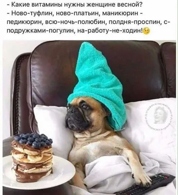 Приколы с котами! Смешные коты с ОЗВУЧКОЙ! СМЕШНЫЕ ЖИВОТНЫЕ 2022! Засмеялся  проиграл – Доми шоу - YouTube