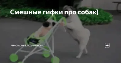 Прикольные гифки