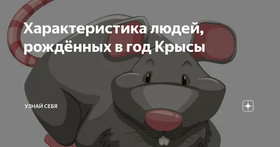 Характеристика людей, рождённых в год Крысы | КАРТА ДНЯ|ТЕСТЫ|ПАСЬЯНСЫ |  Дзен