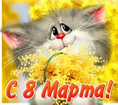 Мемы о 8 Марта – юмор, смешные картинки и приколы - Fun | Сегодня