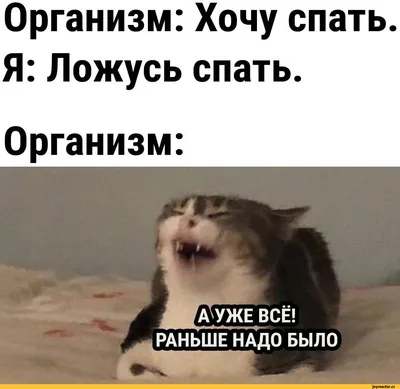 Я снова в режиме: "ничего не успеваю" и "безумно хочу спать". - АйДаПрикол  | Веселые высказывания, Мотивационные постеры, Смех