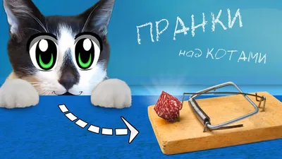 Крошка из Беверли-Хиллз, 2008 — описание, интересные факты — Кинопоиск