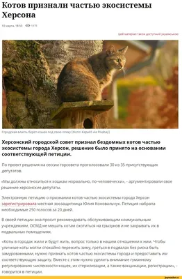 Дрессированный кот Вася, смешные видео с котами, кот говорит «мяу» - 29 мая  2022 - 
