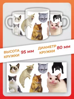 Фотоконкурс "Котики Коломны"