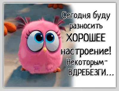 Прикольные статусы на все случаи жизни для социальных сетей: 50+ вариантов