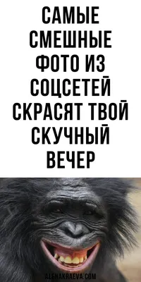 Смешные лица этих айдолов, заставят Вас чувствовать себя счастливыми -  