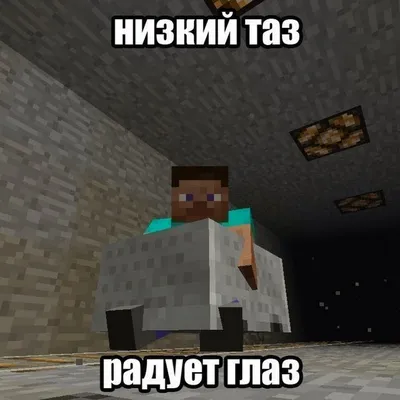 Мем Minecraft / смешные картинки и другие приколы: комиксы, гиф анимация,  видео, лучший интеллектуальный юмор.