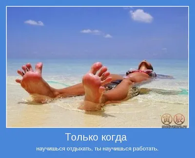 Прикольные идеи для фото на море | Beach photography family, Photography  poses, Model poses photography