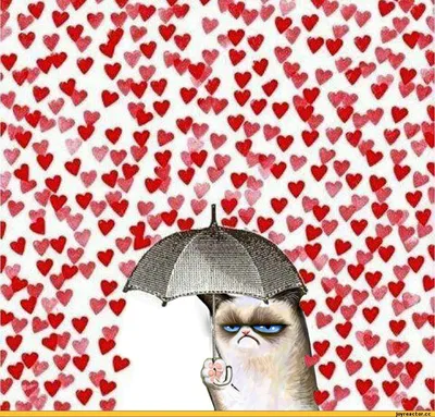 С Днем святого Валентина 2022 — забавные открытки, смешные картинки на 14  февраля - Телеграф