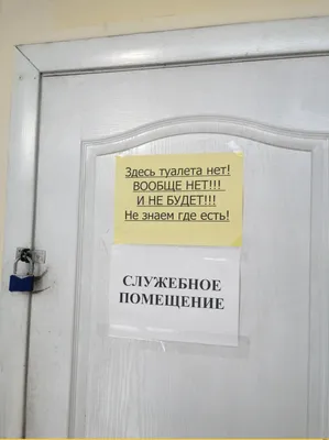 Прикольные таблички с надписями. Купить.