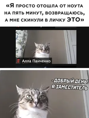 Смешные мемы