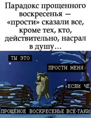 прощенное воскресение / смешные картинки и другие приколы: комиксы, гиф  анимация, видео, лучший интеллектуальный юмор.