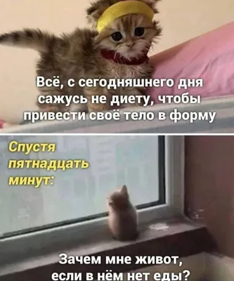 Kawaii Мило Яблоко Смешные Фрукты — стоковая векторная графика и другие  изображения на тему Вегетарианское питание - Вегетарианское питание,  Векторная графика, Веселье - iStock