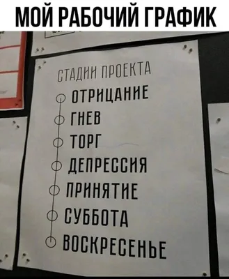 с пятницей четверг суббота мама открытки хорошего дня котики сторис собаки  юмор humor motivation gif coffee In… | Смешные рисунки, Кошачьи картины,  Веселые картинки