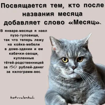 Идеи на тему «Суббота.» (180) | субботы, открытки, доброе утро